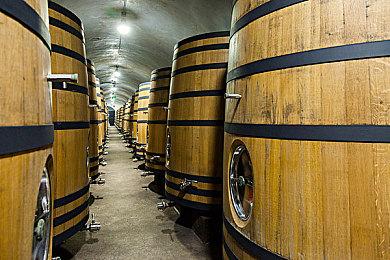 黑暗奇幻动作搜打撤新游《雾影猎人》国内首测定档9月16日